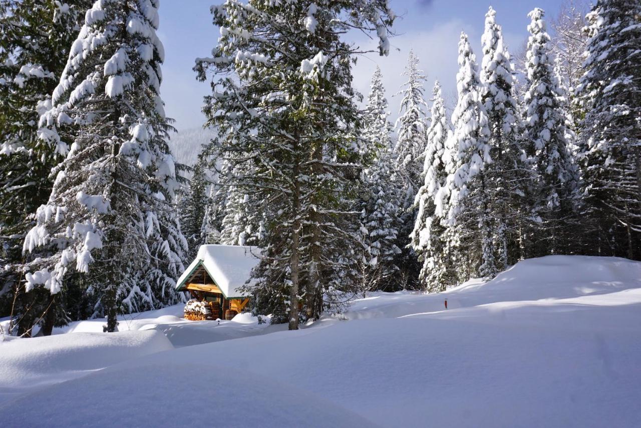 Logden Lodge Nelson Exteriér fotografie